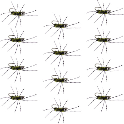 Barbless Pat's Barred Rubber Legs Tungsten Bead Jigged Black/Olive Euro Nymph  - Set of 12 Flies Hook Size 6 - Korvel