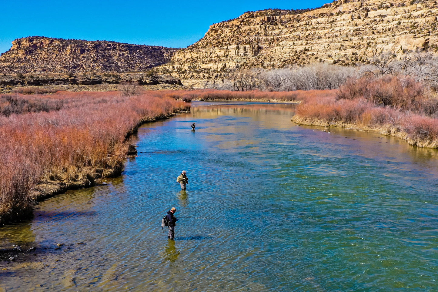 Circus Peanut Envy Streamer Brown - Hook Size 6 - Articulated - Set of 3