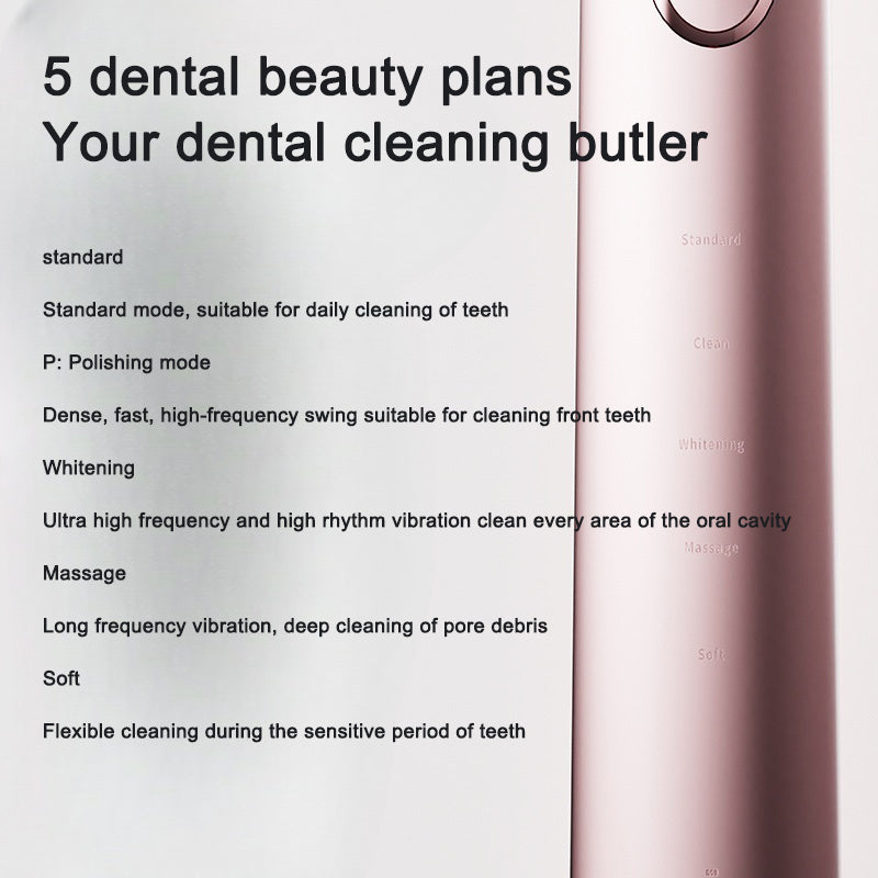 Premium Rechargeable Sonic Electric Toothbrush