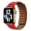 Suitable For iwatch8 Watchband S7 SE 6/5/43 Magnetic Suction New Leather Loopback Chain Apple Watch Wristband - Korvel
