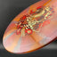 Nebula Ethereal Coalesce First Run - Signature de Thomas Gilbert