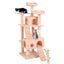 Cat Climbing Frame4 - Korvel