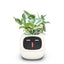 USB Auto Absorbent Planter Brand New PP Resin Plastic Round Eco-friendly Interactive - Korvel