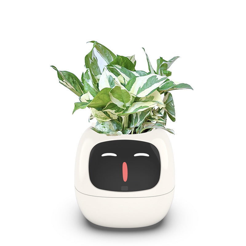 USB Auto Absorbent Planter Brand New PP Resin Plastic Round Eco-friendly Interactive - Korvel