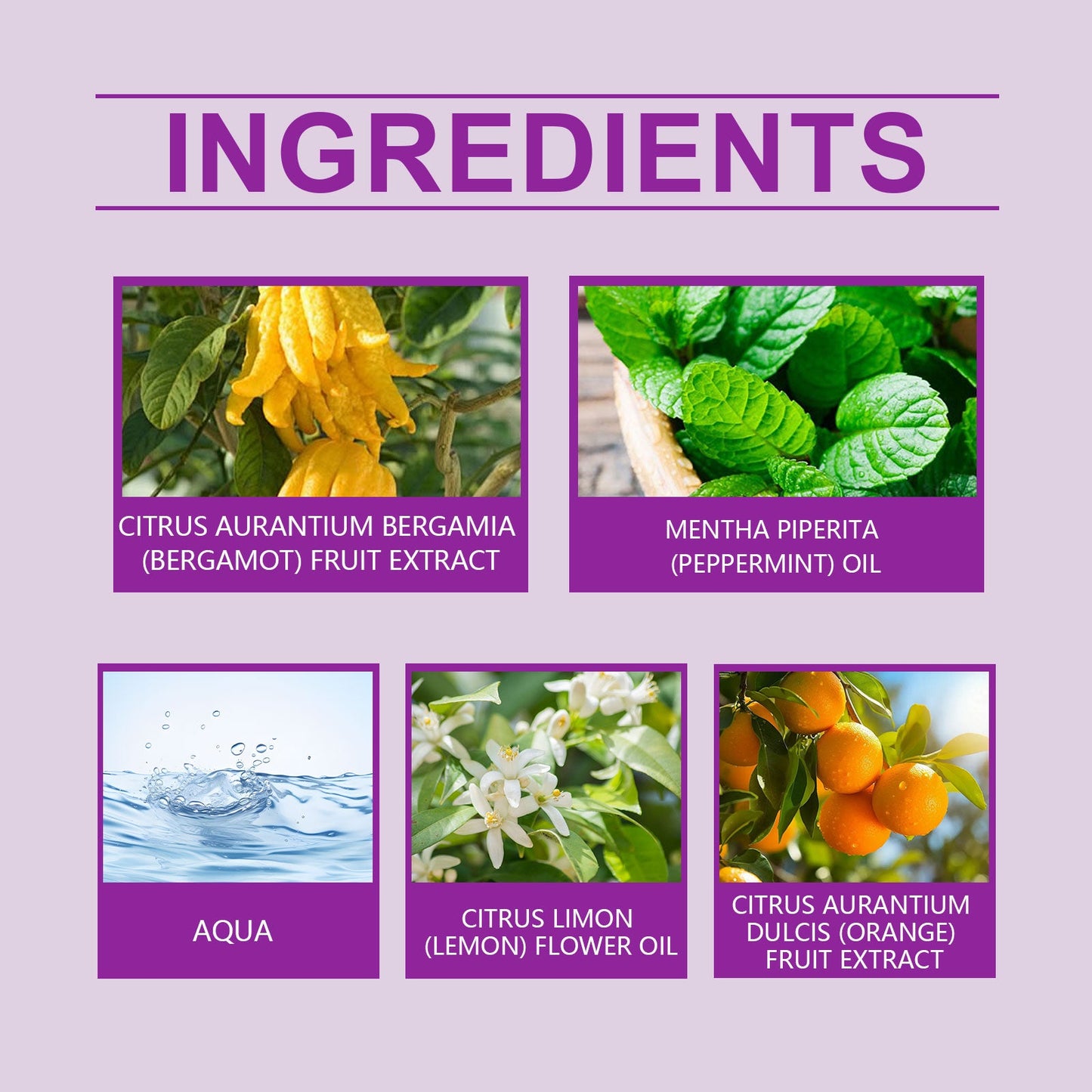 Refreshing Citrus Summer Perfume With Light Fragrance Charm Exudes A Refreshing And Long-Lasting Fragrance Spray - Korvel