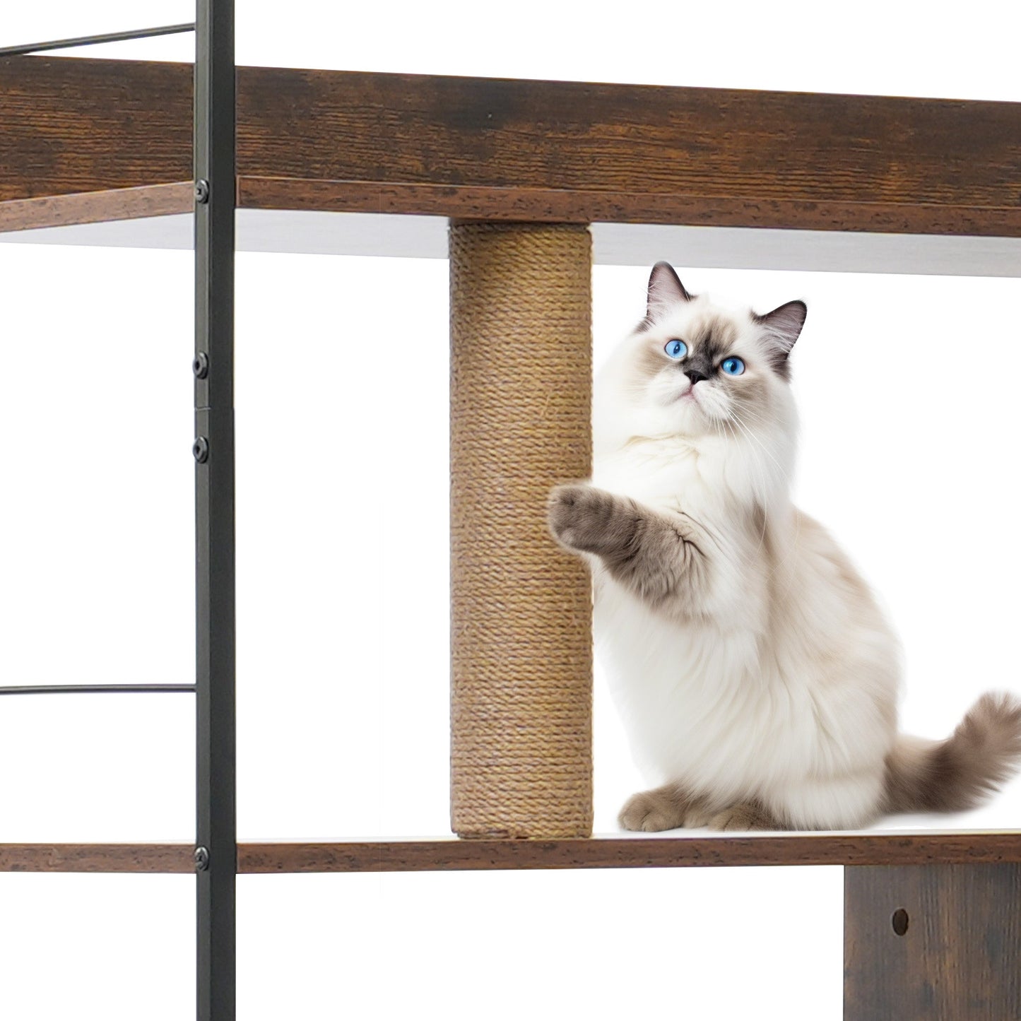 Enclos de bac à litière élégant pour chat avec étagères et griffoirs