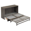 Queen Size Murphy Bed with Built-In Charging Station  Antique Grey - Korvel