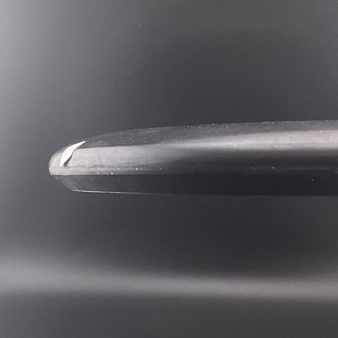 Metal Flake Champion Aviar - 2016 Hall of Fame Commemorative Disc