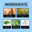 Mineral Underarm Fragrance Bar - Gentle Protection