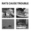 Mouse Repellent Spray, Household Gardening Rat-Repellent Rat-Repellent Solution Cockroach Repellent Mosquito Repellent Spray - Korvel
