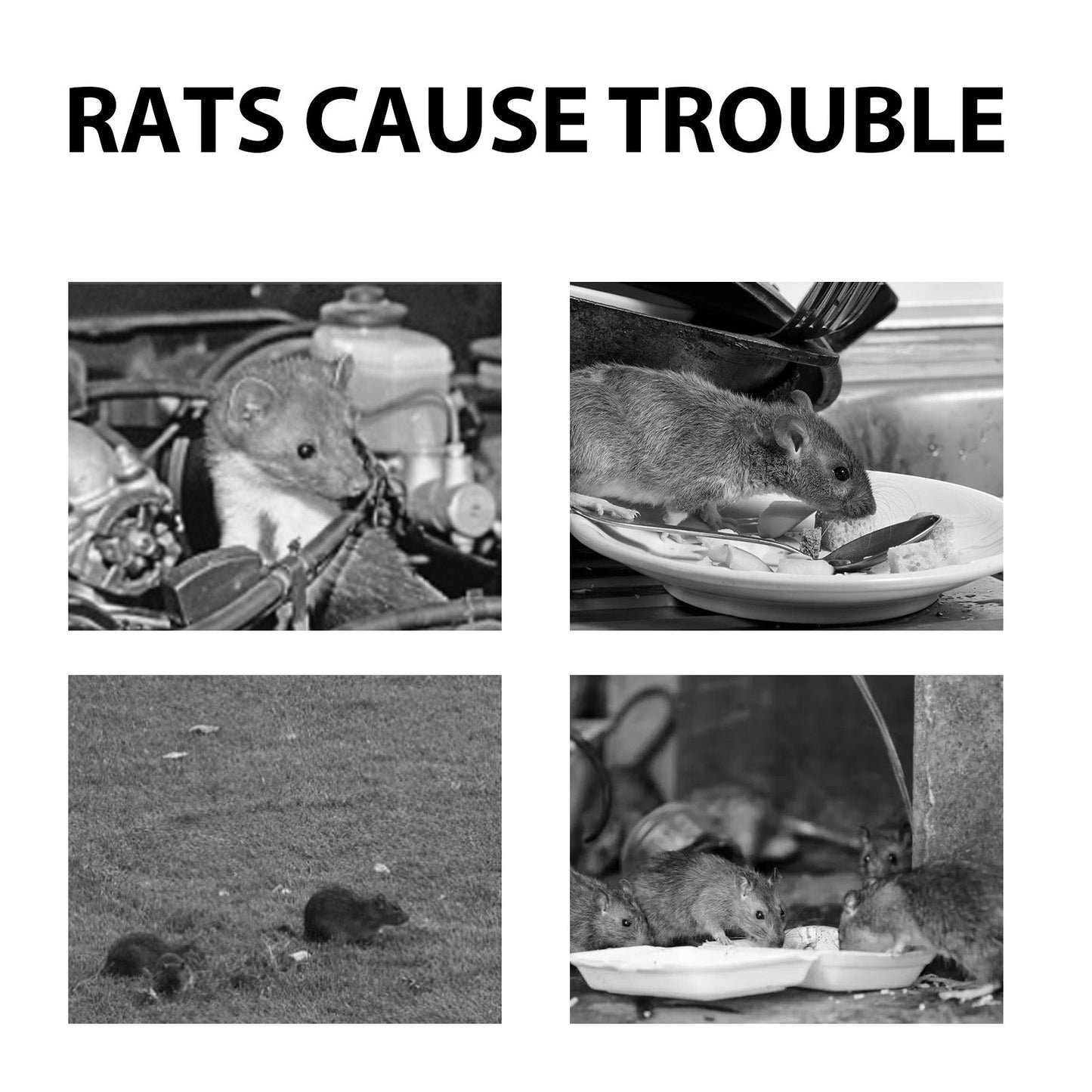 Mouse Repellent Spray, Household Gardening Rat-Repellent Rat-Repellent Solution Cockroach Repellent Mosquito Repellent Spray - Korvel