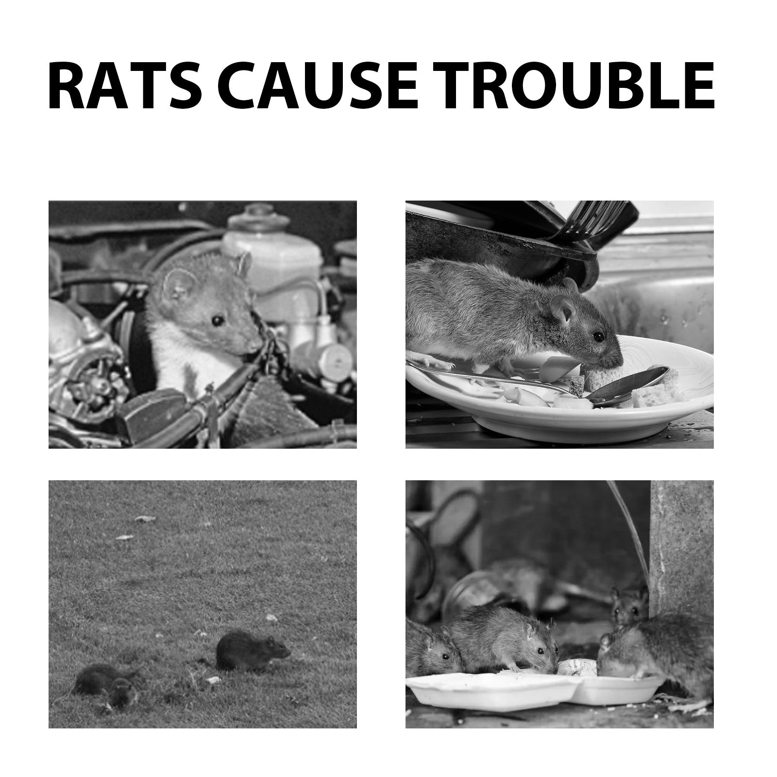 Mouse Repellent Spray, Household Gardening Rat-Repellent Rat-Repellent Solution Cockroach Repellent Mosquito Repellent Spray - Korvel