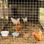 Hardware cloth 1/4 inch 48 inch x 100 foot 23 gauge, hot-dip galvanized welded metal wire fence roll - Korvel