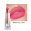 HANDAIYAN Premium Matte Lipstick - 12 Shades of Nude Pink
