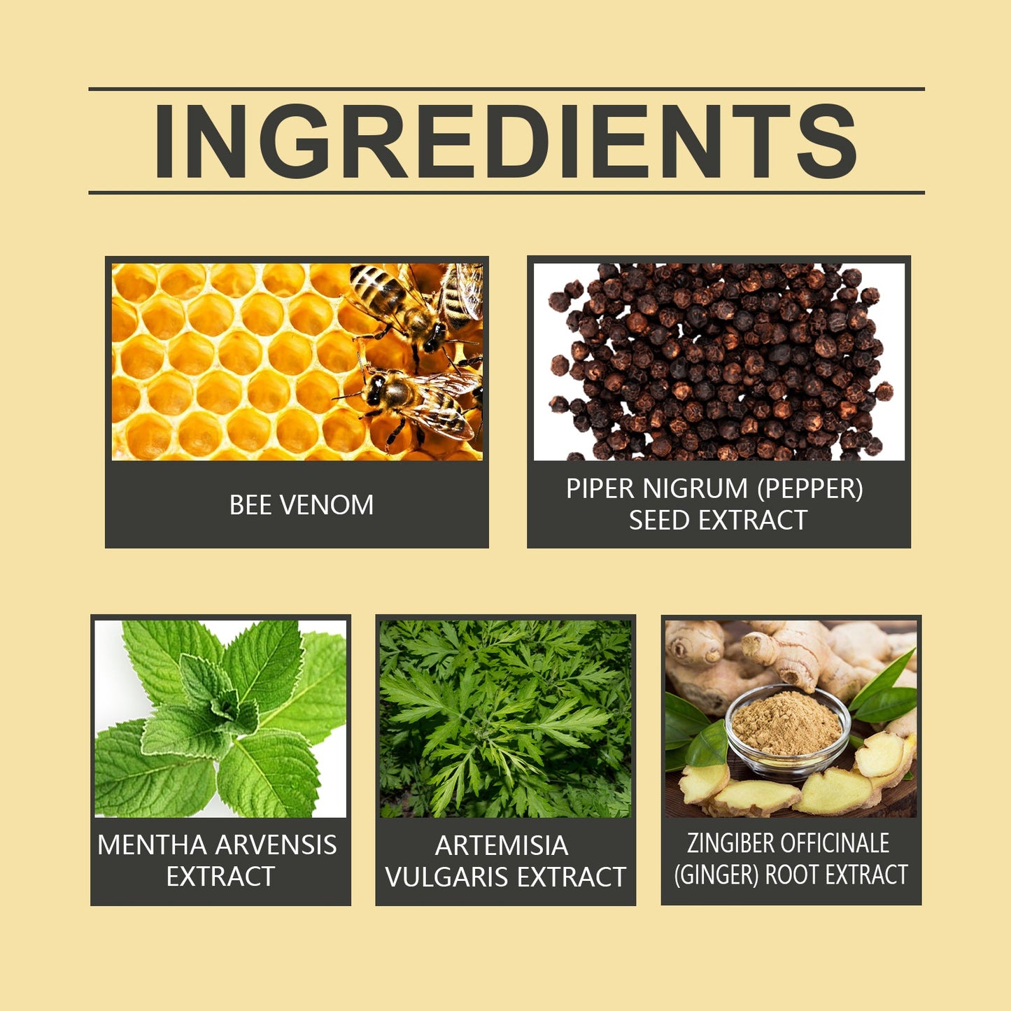 Bee Venom Lymphatic Drainage Weight Loss Patch, Lymphatic Slimming Paste Shaping Slimming Digestion Health Vitality Detumescence Care Body Shaping Considerate - Korvel