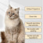 Pet Shampoo, Gentle Cleansing Of Pet Cat And Dog Hair With Smooth Unknotted Shampoo - Korvel