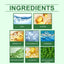 Herbal Joint Care Cream for Daily Comfort