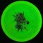 Disque de golf Nocturnal Flex Mustang