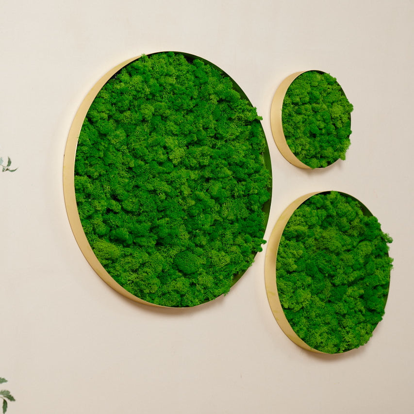 Round Framed Moss Wall Decor, only the Large - Korvel