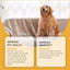 Dog Body Care Drops, Care And Relieve Pet Body Discomfort Nutritional Care Supplements - Korvel