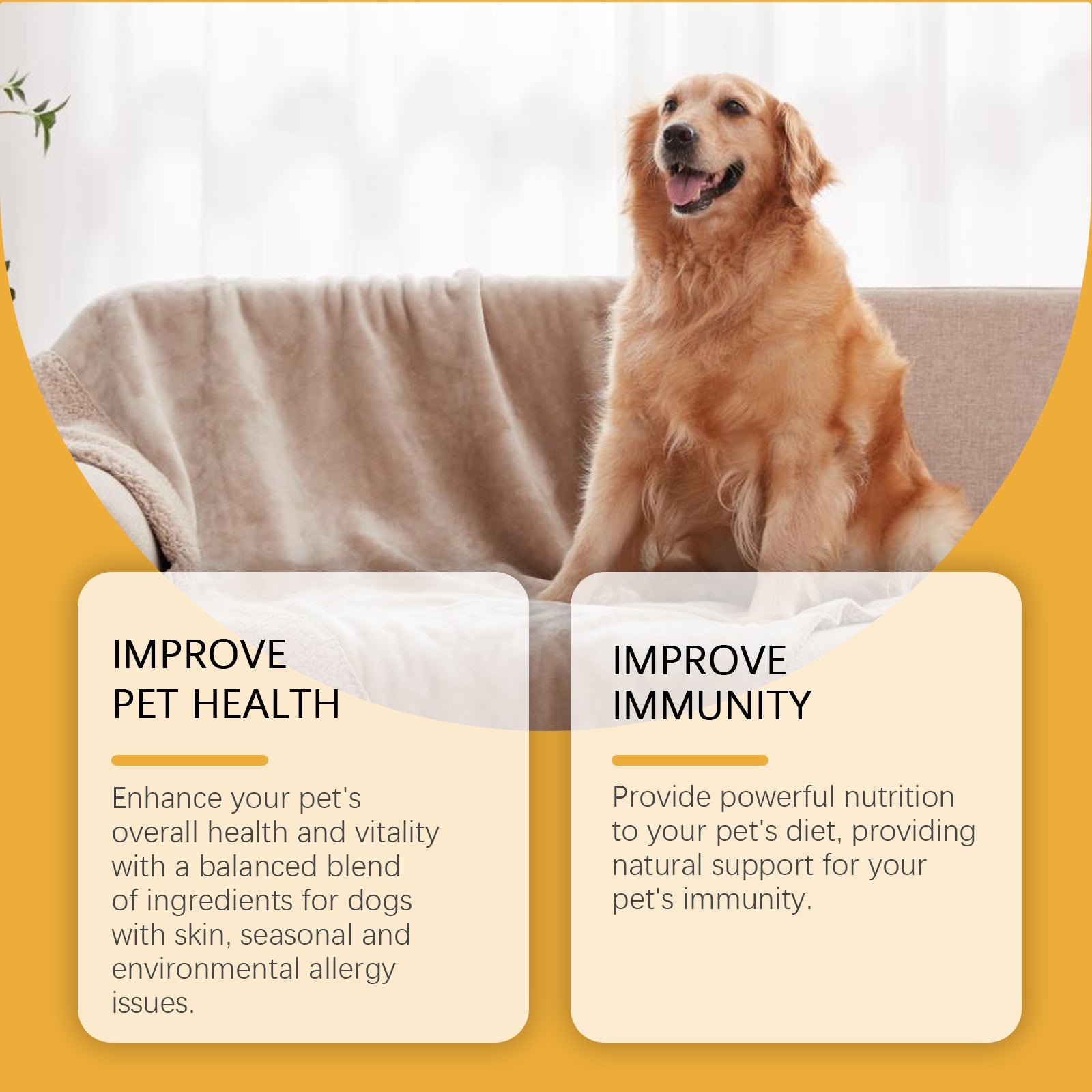 Dog Body Care Drops, Care And Relieve Pet Body Discomfort Nutritional Care Supplements - Korvel