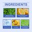 Herbal Acne-Clearing Cream Face Refreshing Oil Control Gentle Pore Cleansing Cream - Korvel