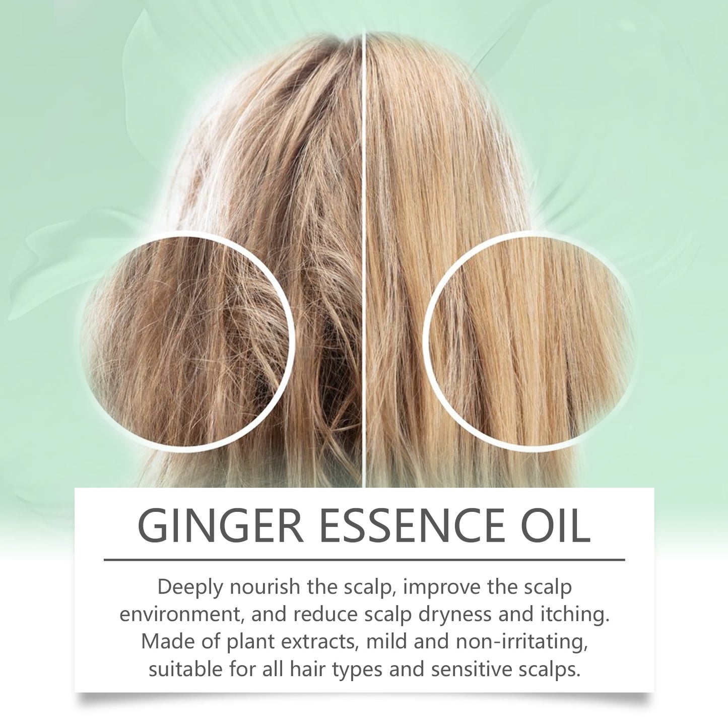 Ginger Hair Care Essential Oil Mild Ingredients Herbal Ginger Nourishes Hair Soft Beautiful Essential Oil - Korvel