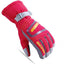 Winter Professional Ski Gloves - Korvel