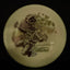 Color Glow Persona - USDGC 2025 - Colaboración TSA X Discraft
