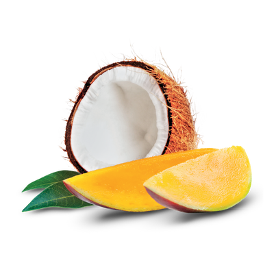 Mango and Coconut Soy Candle – Tropical & Sweet Scent | Mam Jam’s - Korvel