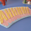 Special curved water absorbing floor mat for shower room, bathroom bathtub, non slip foot mat for household entrance door mat - Korvel