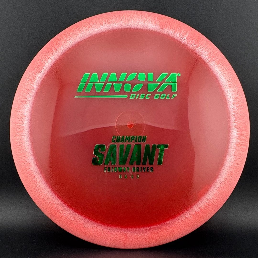 Champion Savant Disc Golf Driver