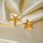 Elegant Stainless Steel Star Shape Earrings