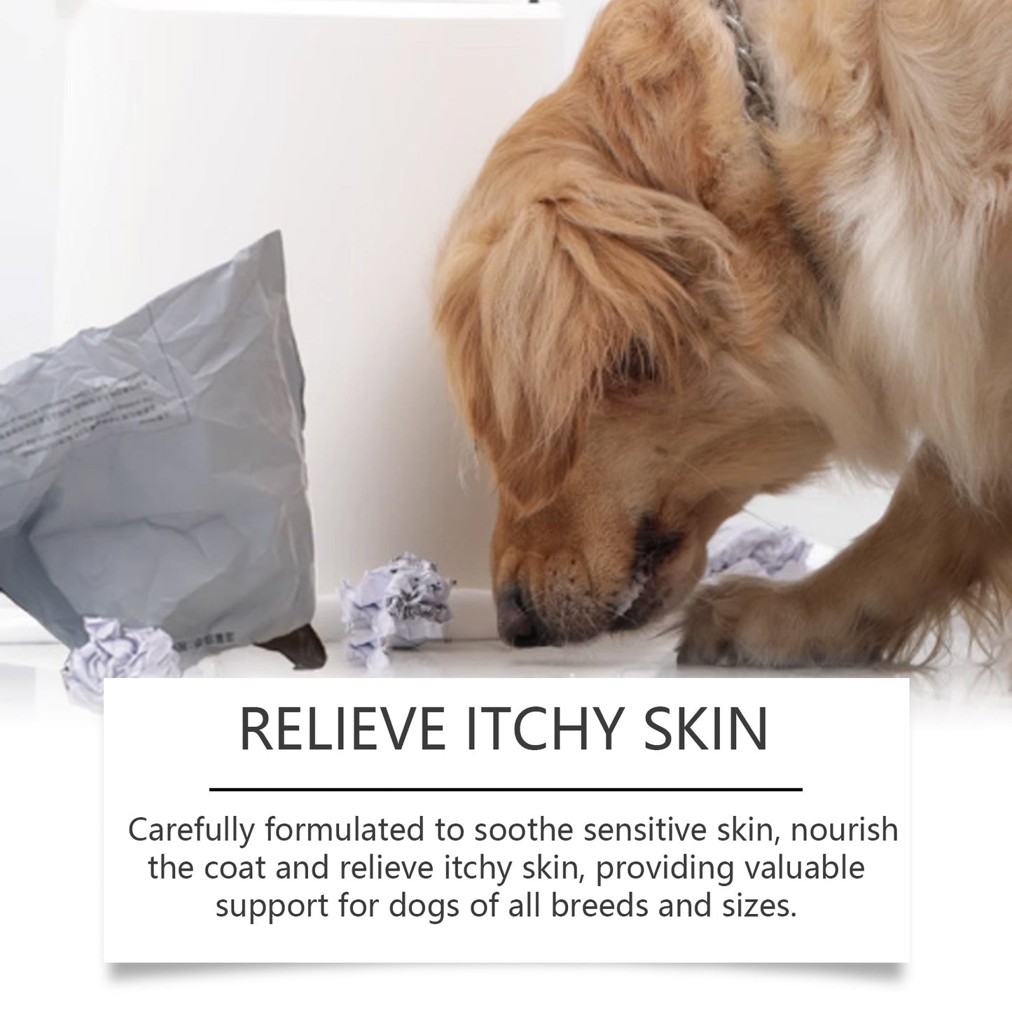 Dog Body Care Drops, Care And Relieve Pet Body Discomfort Nutritional Care Supplements - Korvel