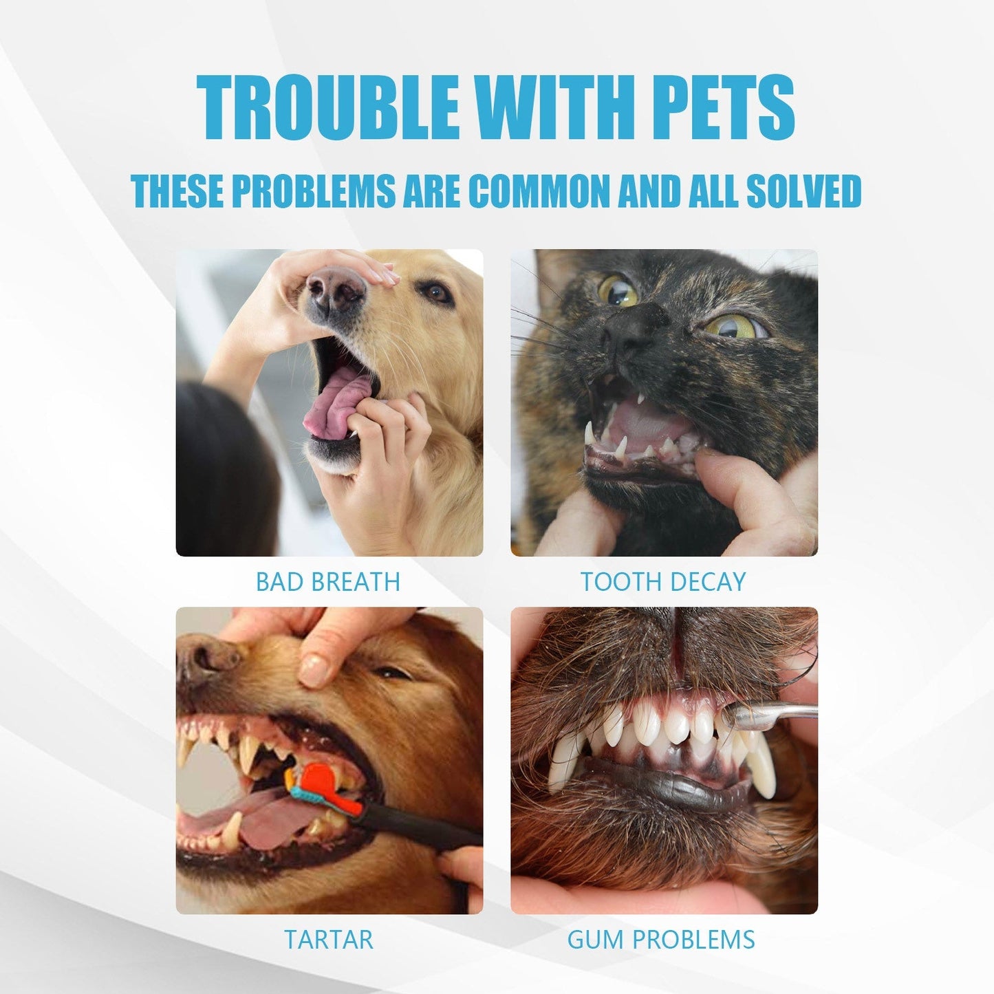 Pet Toothpaste for Dogs and Cats Oral Care Edible Fresh Breath Dental Cleaning - Korvel