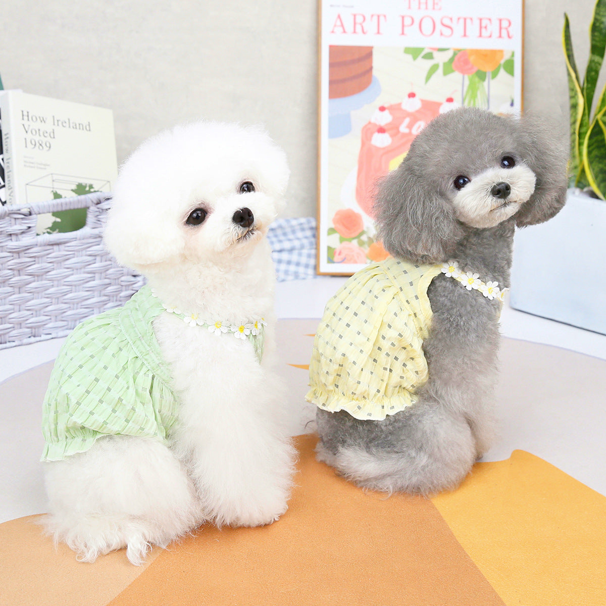 Pet Clothes Spring And Summer Dog Clothes Small Dog Clothes Pet - Korvel
