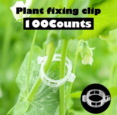 Clips de support pour plantes GrowClip