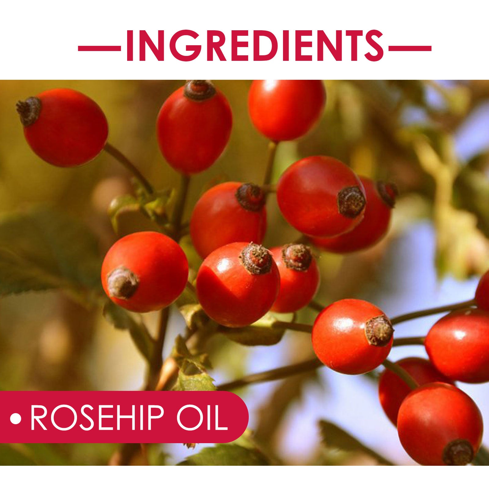 Rose Hip Facial Essential Oil Facial Body Moisturizing Skin care Supple Hair Care Massage Essential Oil - Korvel