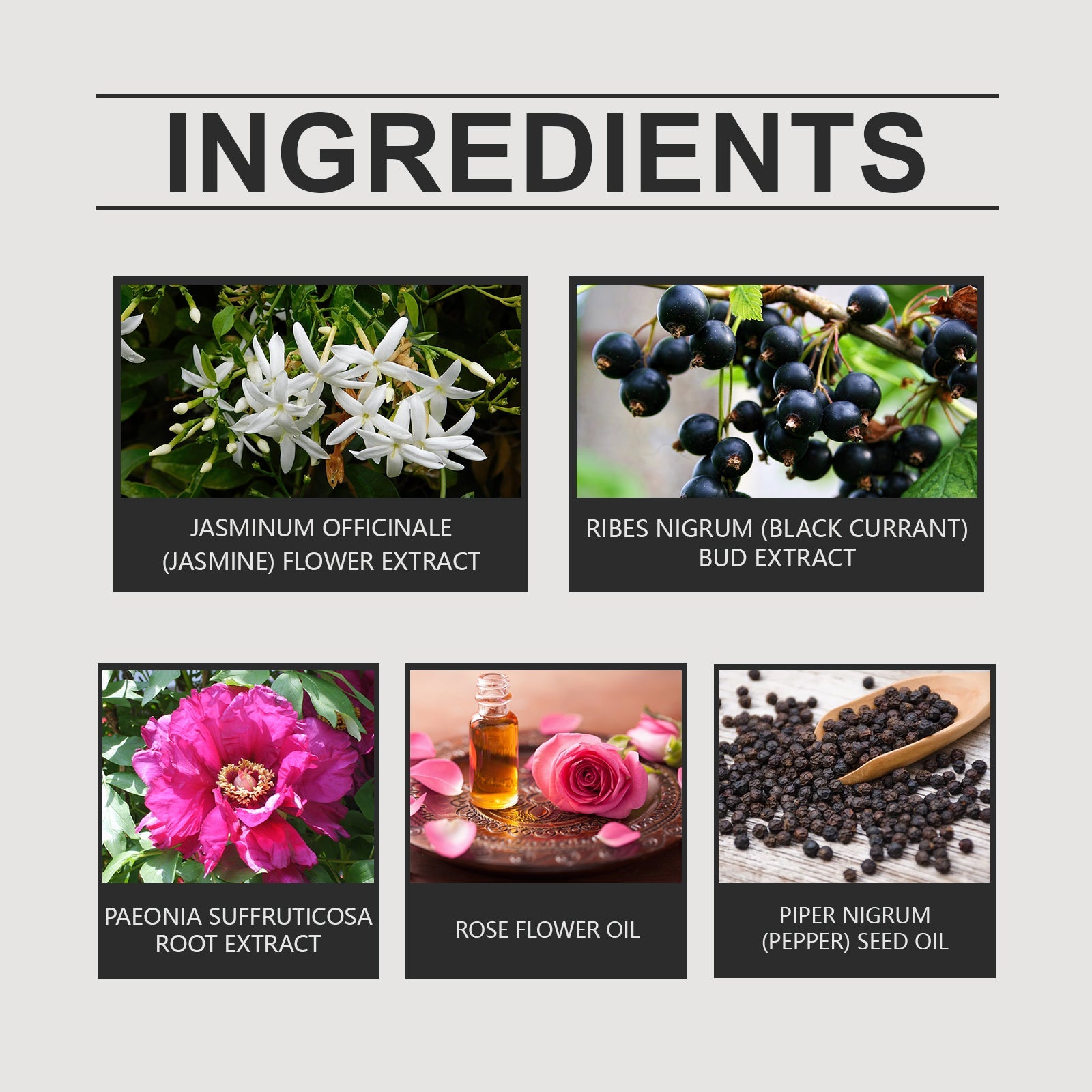 Charm Floral Drops With A Natural, Fresh, Elegant And Long-Lasting Fragrance That Exudes Personality And Charm - Korvel
