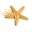 Stainless steel shell hair clip with bangs, high-end feel, ins metal hair accessories, broken hair clip at the back of the head - Korvel