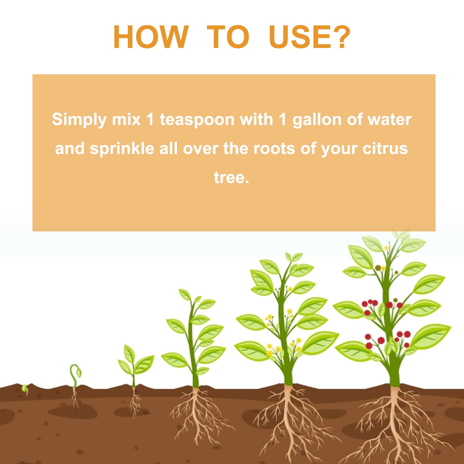 Premium 3-1-2 Liquid Fertilizer Concentrate For Citrus Trees, Orange Fruit Tree Plant Root Green Leaf Beauty Fruit Growth Nutrient Solution - Korvel