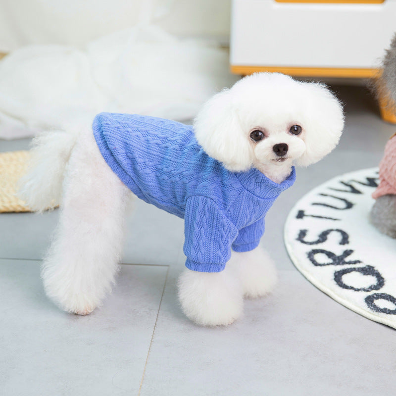 Pull en laine de qualité supérieure pour chiens de petite taille