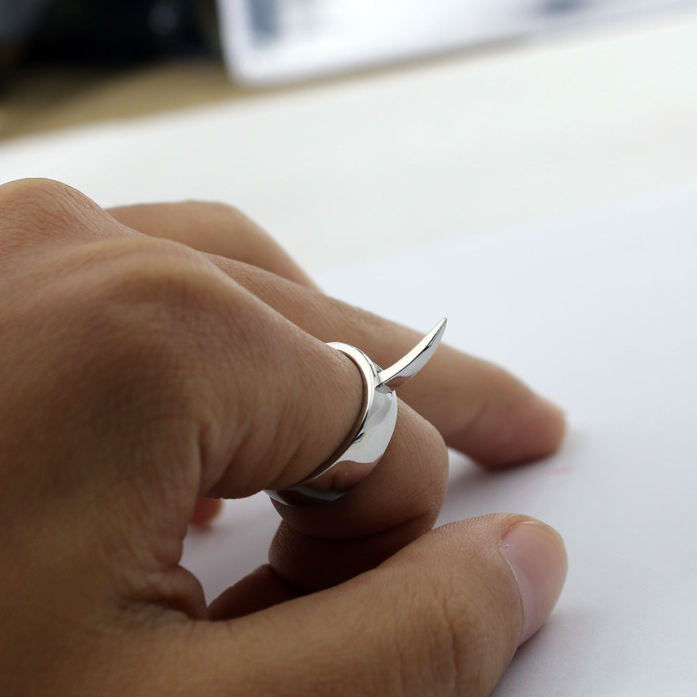 Ani's Geometric Transformation Ring