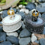 Boîte de rangement Crâne Couronne
