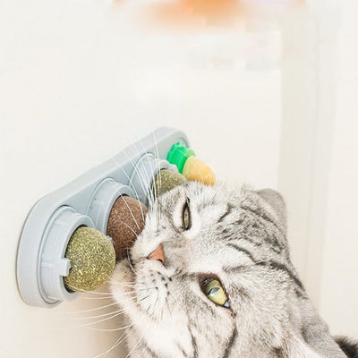 Interactive Catnip Ball Toy for Engaging Playtime