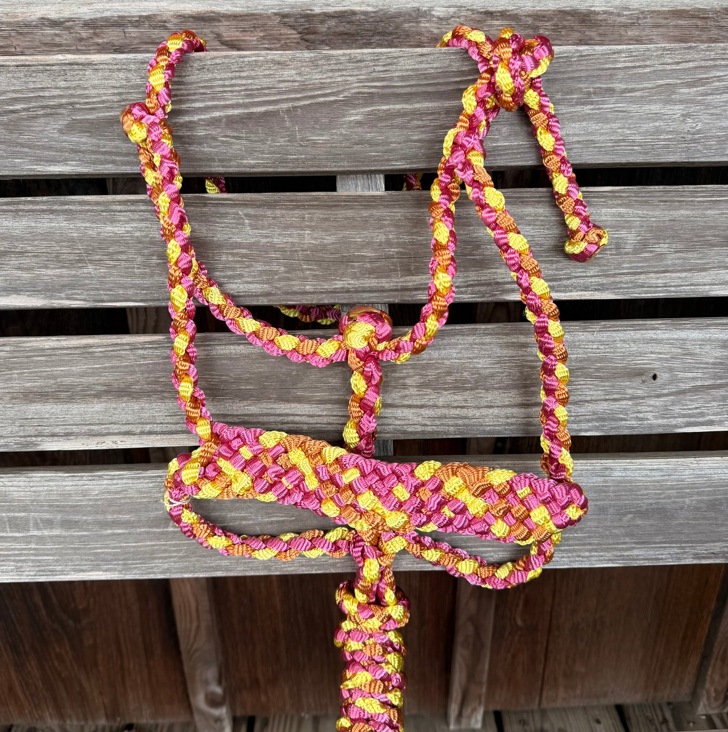 Halter LMB con Correa Desmontable