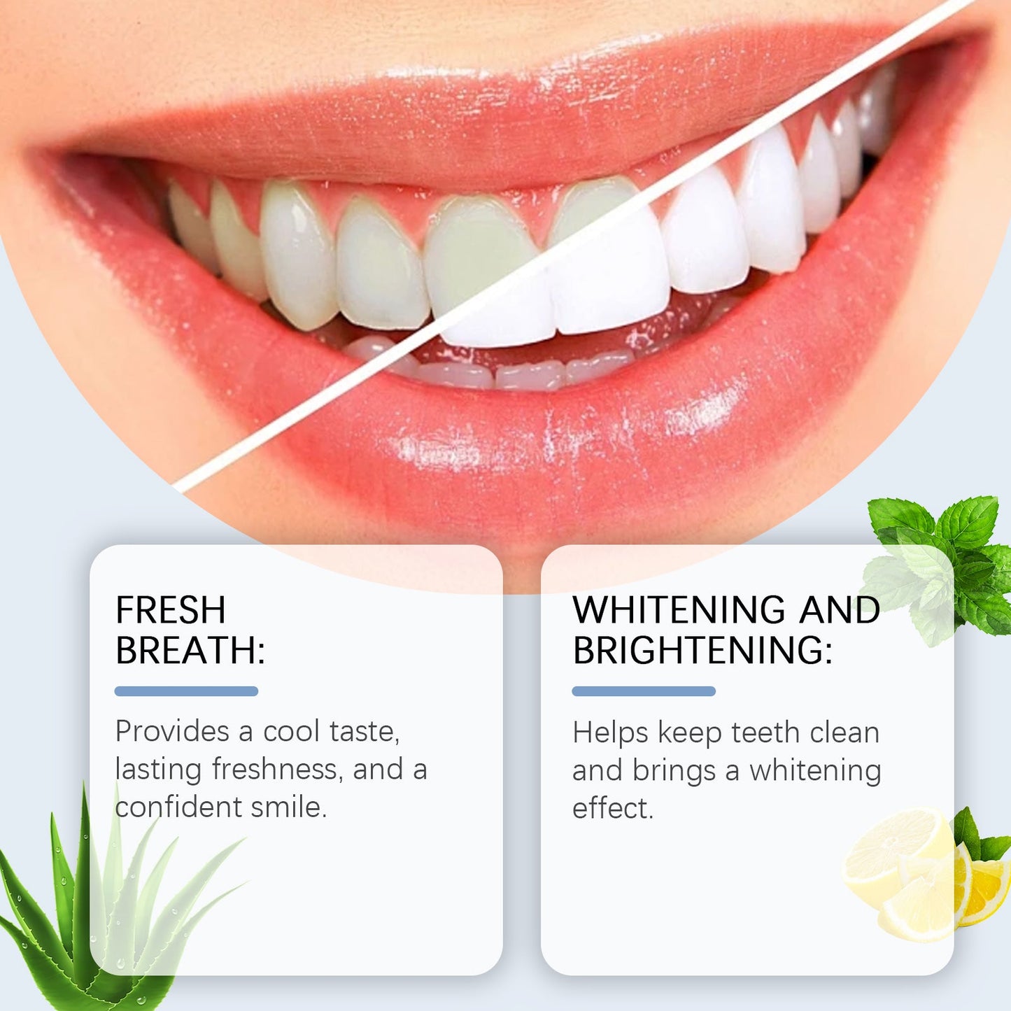 Premium Mint Toothpaste for Daily Oral Care