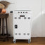 Mobile Charging Cart and Cabinet for 31+4 Devices
