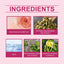 Rose Women's Ball Fragrance, Fresh Light Fragrance Exudes Charm Keep Fragrance Portable Couple Dating Perfume - Korvel