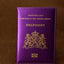 Netherlands Passport Cover Soft Pu leather New holland Women Covers For Passport Holder Nederlanden Dutch Nederland paspoort - Korvel